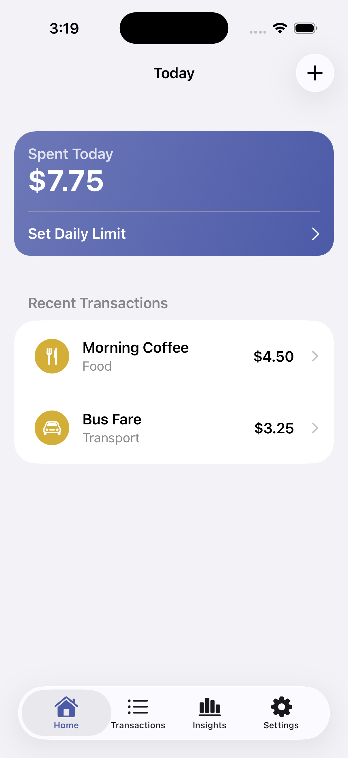 Spent Today App Screenshot 1